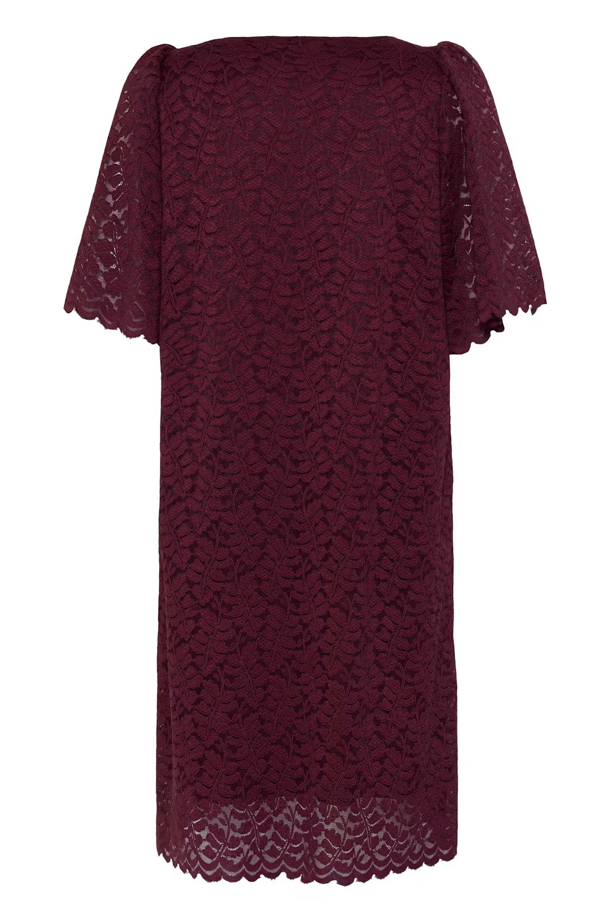 Fransa Lace Shift Dress with Short sleeves 20618439