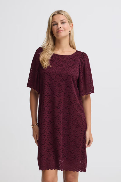 Fransa Lace Shift Dress with Short sleeves 20618439