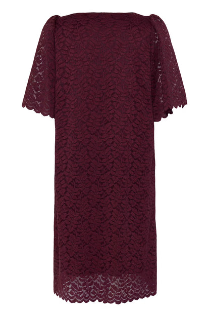 Fransa Lace Shift Dress with Short sleeves 20618439