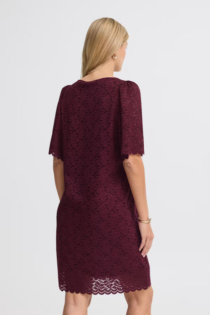 Fransa Lace Shift Dress with Short sleeves 20618439