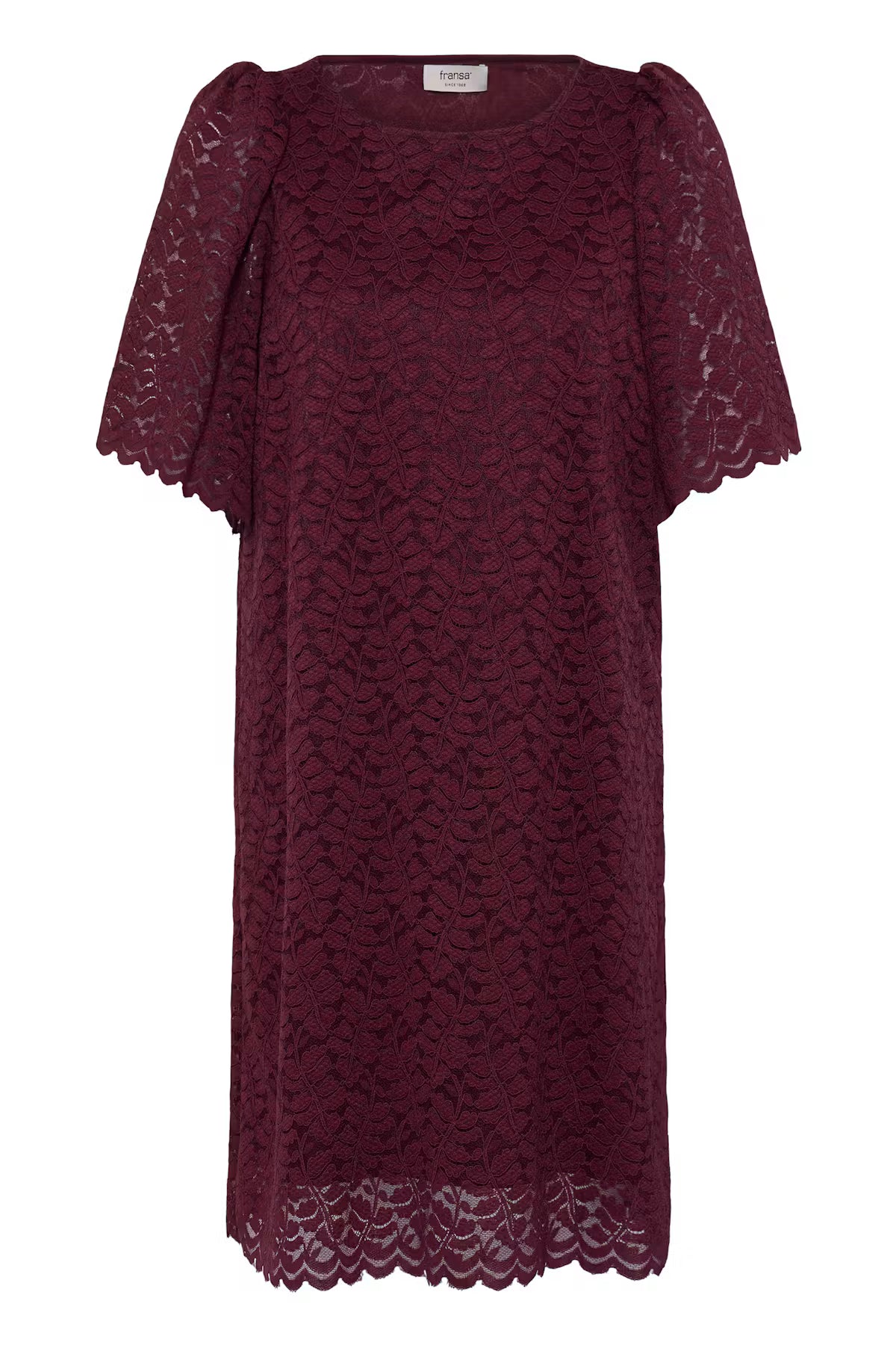 Fransa Lace Shift Dress with Short sleeves 20618439