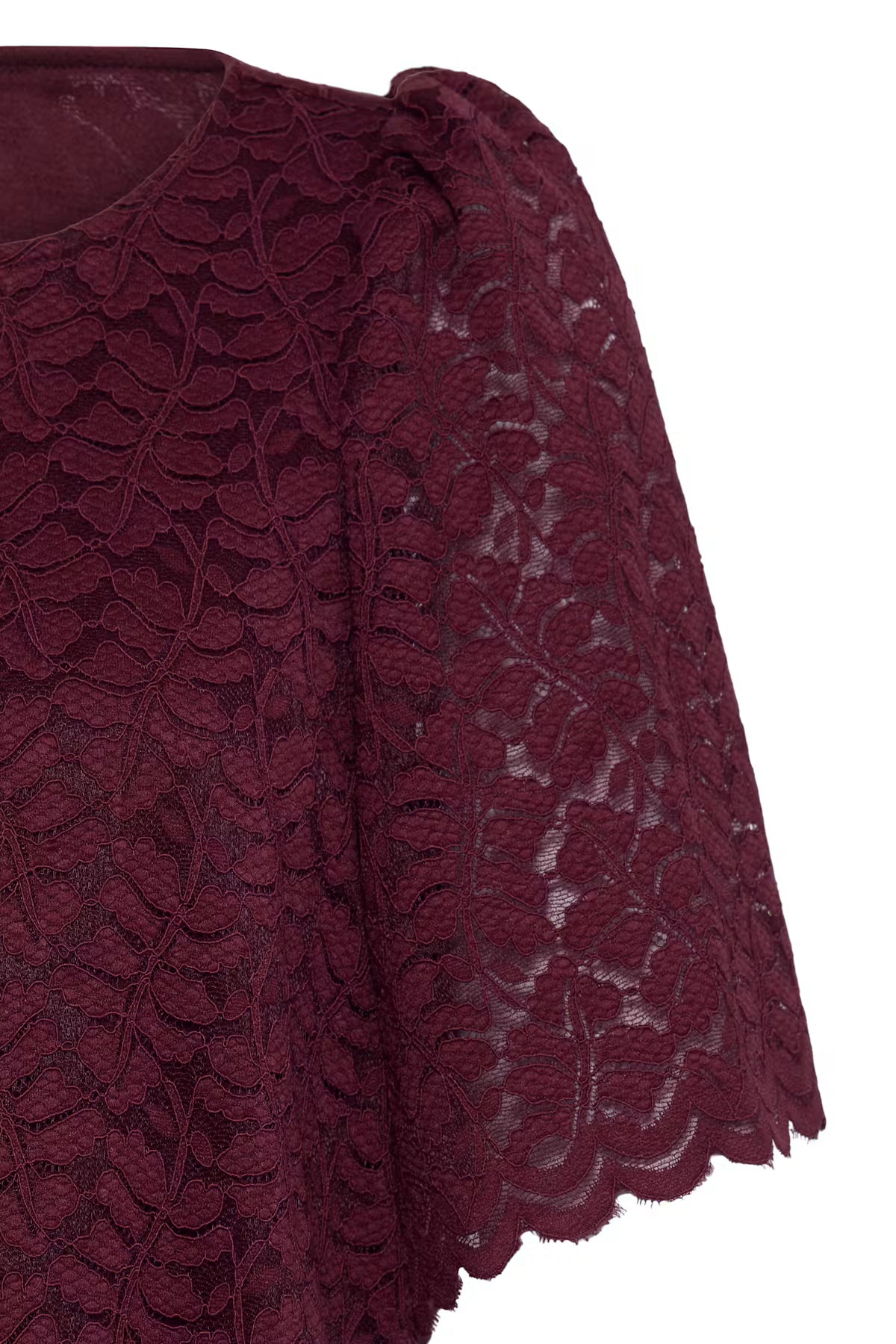 Fransa Lace Shift Dress with Short sleeves 20618439