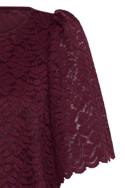 Fransa Lace Shift Dress with Short sleeves 20618439