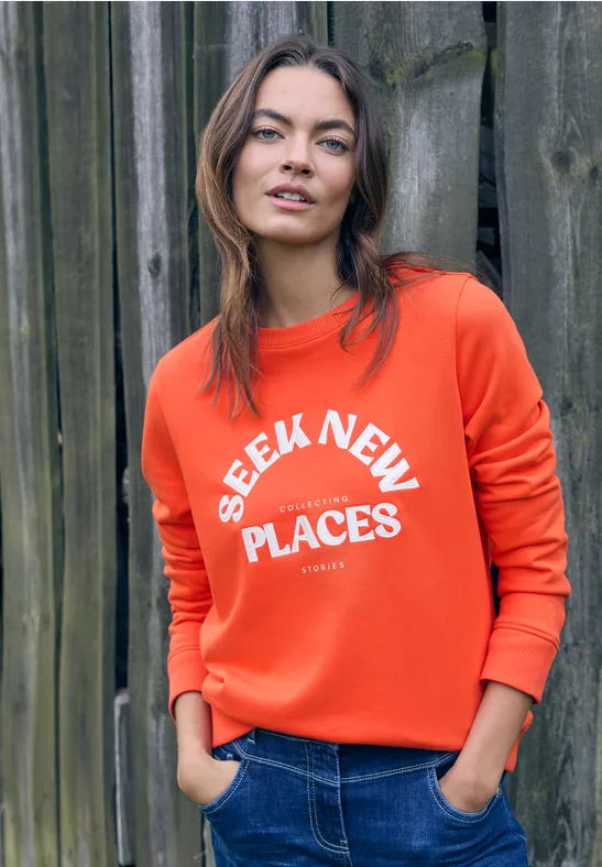 Cecil Embroidered Sweatshirt 303779