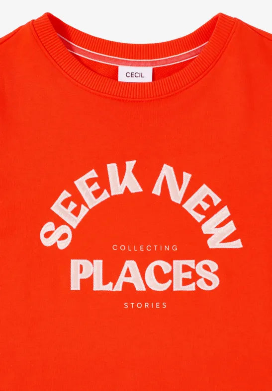 Cecil Embroidered Sweatshirt 303779