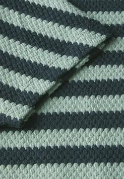 Cecil Cotton Textured Top in green stripe  323109